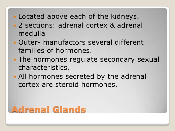 The endocrine system