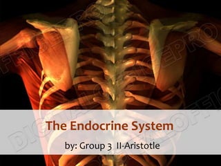 The Endocrine System
   by: Group 3 II-Aristotle
 
