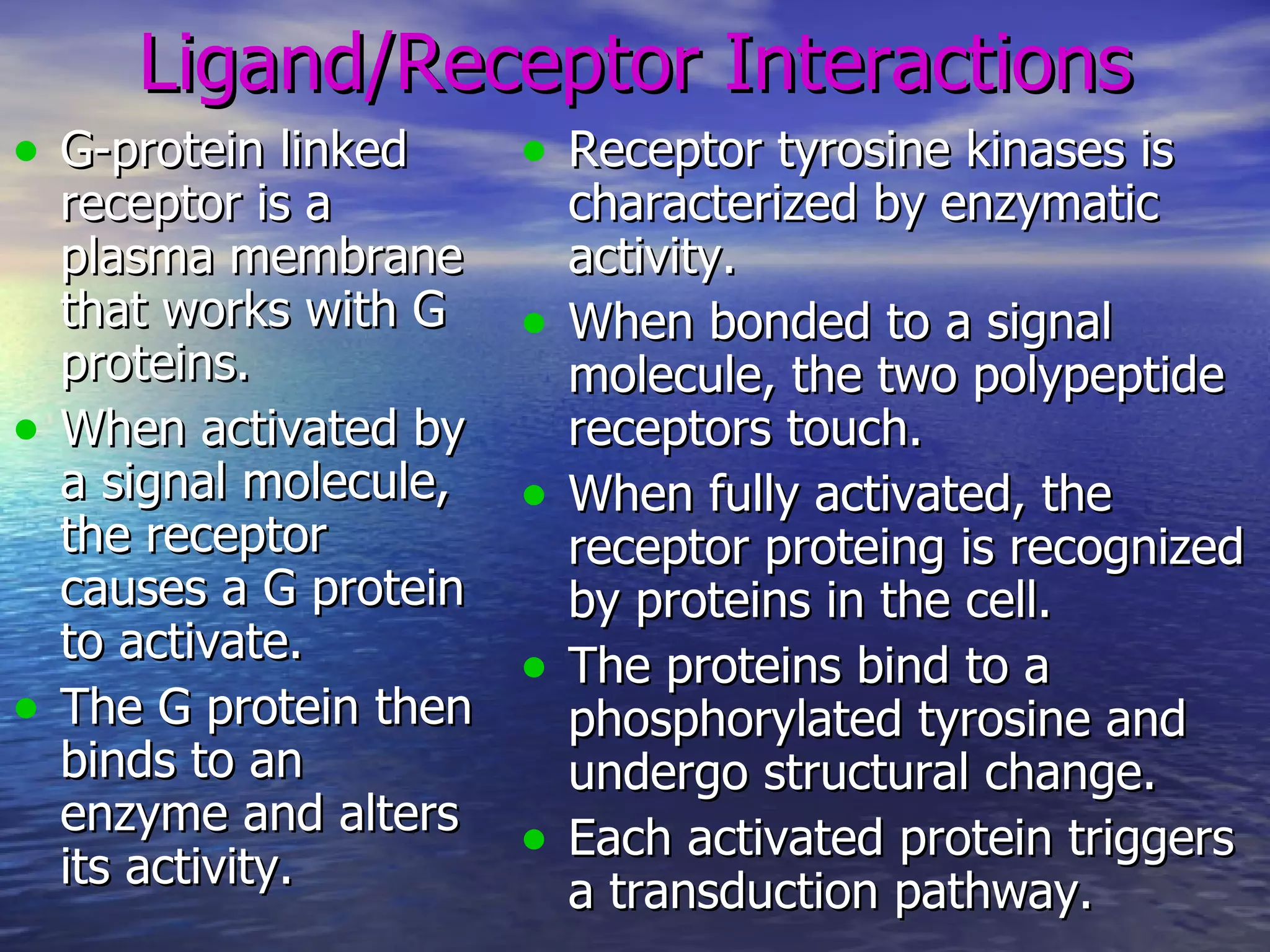 The+Endocrine+System | PPT