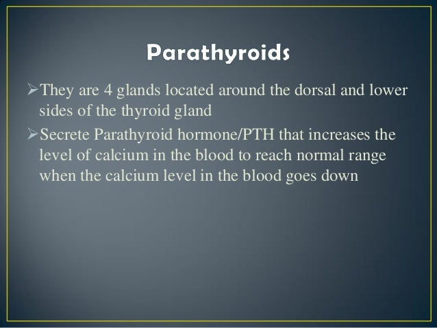Parathyroid adenoma image