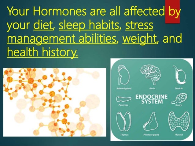 The Endocrine System