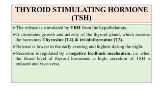 THYROID STIMULATING HORMONE
(TSH)
The release is stimulated by TRH from the hypothalamus.
It stimulates growth and activity of the thyroid gland, which secretes
the hormones Thyroxine (T4) & tri-idothyronine (T3).
Release is lowest in the early evening and highest during the night.
Secretion is regulated by a negative feedback mechanism, i.e. when
the blood level of thyroid hormones is high, secretion of TSH is
reduced and vice-versa.
 