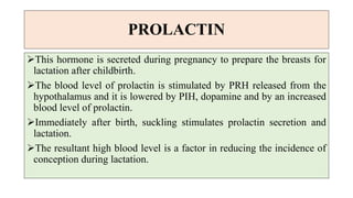PROLACTIN
This hormone is secreted during pregnancy to prepare the breasts for
lactation after childbirth.
The blood level of prolactin is stimulated by PRH released from the
hypothalamus and it is lowered by PIH, dopamine and by an increased
blood level of prolactin.
Immediately after birth, suckling stimulates prolactin secretion and
lactation.
The resultant high blood level is a factor in reducing the incidence of
conception during lactation.
 