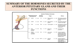 SUMMARY OF THE HORMONES SECRETED BY THE
ANTERIOR PITUITARY GLAND AND THEIR
FUNCTIONS
 