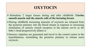 OXYTOCIN
 Stimulates 2 target tissues during and after childbirth: Uterine
smooth muscle and the muscle cells of the lactating breast.
During childbirth increasing amounts of oxytocin are released from
the posterior pituitary into the blood stream in response to increasing
stimulation of sensory stretch receptors in the uterine cervix as the
baby’s head progressively dilates it.
Sensory impulses are generated and travel to the control centre in the
hypothalamus, stimulating the posterior pituitary to release more
oxytocin.
 