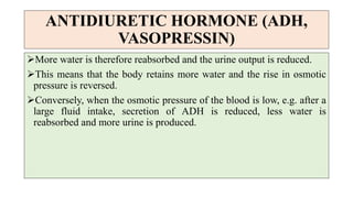 ANTIDIURETIC HORMONE (ADH,
VASOPRESSIN)
More water is therefore reabsorbed and the urine output is reduced.
This means that the body retains more water and the rise in osmotic
pressure is reversed.
Conversely, when the osmotic pressure of the blood is low, e.g. after a
large fluid intake, secretion of ADH is reduced, less water is
reabsorbed and more urine is produced.
 