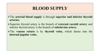 BLOOD SUPPLY
The arterial blood supply is through superior and inferior thyroid
arteries.
Superior thyroid artery is the branch of external carotid artery and
inferior thyroid artery is the branch of subclavian artery.
The venous return is by thyroid veins, which drains into the
internal jugular veins.
 