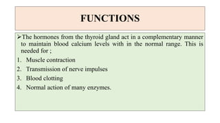 FUNCTIONS
The hormones from the thyroid gland act in a complementary manner
to maintain blood calcium levels with in the normal range. This is
needed for ;
1. Muscle contraction
2. Transmission of nerve impulses
3. Blood clotting
4. Normal action of many enzymes.
 