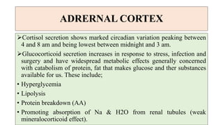ADRERNAL CORTEX
Cortisol secretion shows marked circadian variation peaking between
4 and 8 am and being lowest between midnight and 3 am.
Glucocorticoid secretion increases in response to stress, infection and
surgery and have widespread metabolic effects generally concerned
with catabolism of protein, fat that makes glucose and ther substances
available for us. These include;
• Hyperglycemia
• Lipolysis
• Protein breakdown (AA)
• Promoting absorption of Na & H2O from renal tubules (weak
mineralocorticoid effect).
 