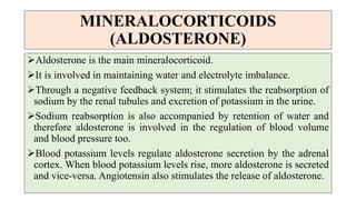 MINERALOCORTICOIDS
(ALDOSTERONE)
Aldosterone is the main mineralocorticoid.
It is involved in maintaining water and electrolyte imbalance.
Through a negative feedback system; it stimulates the reabsorption of
sodium by the renal tubules and excretion of potassium in the urine.
Sodium reabsorption is also accompanied by retention of water and
therefore aldosterone is involved in the regulation of blood volume
and blood pressure too.
Blood potassium levels regulate aldosterone secretion by the adrenal
cortex. When blood potassium levels rise, more aldosterone is secreted
and vice-versa. Angiotensin also stimulates the release of aldosterone.
 
