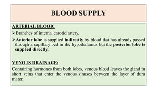 BLOOD SUPPLY
ARTERIAL BLOOD:
Branches of internal carotid artery.
Anterior lobe is supplied indirectly by blood that has already passed
through a capillary bed in the hypothalamus but the posterior lobe is
supplied directly.
VENOUS DRAINAGE:
Containing hormones from both lobes, venous blood leaves the gland in
short veins that enter the venous sinuses between the layer of dura
mater.
 