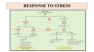 RESPONSE TO STRESS
 