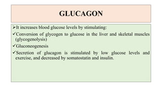 GLUCAGON
It increases blood glucose levels by stimulating:
Conversion of glycogen to glucose in the liver and skeletal muscles
(glycogenolysis)
Gluconeogenesis
Secretion of glucagon is stimulated by low glucose levels and
exercise, and decreased by somatostatin and insulin.
 