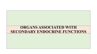 ORGANS ASSOCIATED WITH
SECONDARY ENDOCRINE FUNCTIONS
 