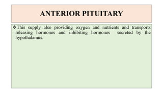 ANTERIOR PITUITARY
This supply also providing oxygen and nutrients and transports
releasing hormones and inhibiting hormones secreted by the
hypothalamus.
 