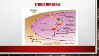 STEROID HORMONES
 