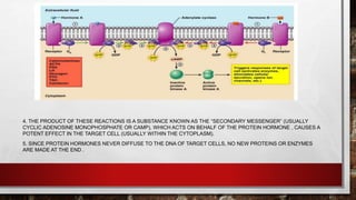 4. THE PRODUCT OF THESE REACTIONS IS A SUBSTANCE KNOWN AS THE “SECONDARY MESSENGER” (USUALLY
CYCLIC ADENOSINE MONOPHOSPHATE OR CAMP), WHICH ACTS ON BEHALF OF THE PROTEIN HORMONE , CAUSES A
POTENT EFFECT IN THE TARGET CELL (USUALLY WITHIN THE CYTOPLASM).
5. SINCE PROTEIN HORMONES NEVER DIFFUSE TO THE DNA OF TARGET CELLS, NO NEW PROTEINS OR ENZYMES
ARE MADE AT THE END .
 