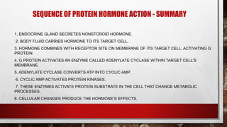 SEQUENCE OF PROTEIN HORMONE ACTION - SUMMARY
1. ENDOCRINE GLAND SECRETES NONSTCROID HORMONE.
2. BODY FLUID CARRIES HORMONE TO ITS TARGET CELL.
3. HORMONE COMBINES WITH RECEPTOR SITE ON MEMBRANE OF ITS TARGET CELL, ACTIVATING G
PROTEIN.
4. G PROTEIN ACTIVATES AN ENZYME CALLED ADENYLATE CYCLASE WITHIN TARGET CELL’S
MEMBRANE.
5. ADENYLATE CYCLASE CONVERTS ATP INTO CYCLIC AMP.
6. CYCLIC AMP ACTIVATES PROTEIN KINASES.
7. THESE ENZYMES ACTIVATE PROTEIN SUBSTRATE IN THE CELL THAT CHANGE METABOLIC
PROCESSES.
8. CELLULAR CHANGES PRODUCE THE HORMONE’S EFFECTS.
 
