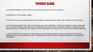 THYROID GLAND
A) LOCATED INFERIOR TO THE LARYNX (VOICE BOX) AND ATTACHED TO THE TRACHEA.
B) DIVIDED INTO TWO LATERAL LOBES .
C) THYROID FOLLICLES UTILIZE IODINE AND SYNTHESIZE THYROGLOBULIN (TGB) TO BE STORED IN THE COLLOIDS.
D) UPON STIMULATION OF TSH, TGB IS CONVERTED INTO TWO HORMONES --TRIIODOTHYRONINE (T3) AND THYROXINE
(T4) TO PROMOTE NORMAL METABOLISM. [HYPOSECRETION CAUSES HYPOTHYROIDISM, SIMILAR TO CRETINISM AND
MYXEDEMA, AND HYPERSECRETION CAUSES HYPERTHYROIDISM THAT RESULTS IN A GOITER OR IN GRAVES’ DISEASE].
E) ALSO SECRETES CALCITONIN TO LOWER BLOOD CALCIUM AND PHOSPHATE LEVELS AND REGULATE DIGESTIVE
HORMONES. [BOTH HYPOSECRETION AND HYPERSECRETION WOULD AFFECT NORMAL BALANCES OF CALCIUM AND
PHOSPHATE].
 