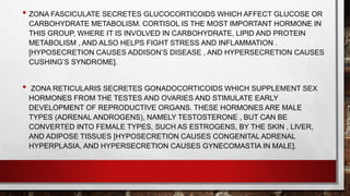 • ZONA FASCICULATE SECRETES GLUCOCORTICOIDS WHICH AFFECT GLUCOSE OR
CARBOHYDRATE METABOLISM. CORTISOL IS THE MOST IMPORTANT HORMONE IN
THIS GROUP, WHERE IT IS INVOLVED IN CARBOHYDRATE, LIPID AND PROTEIN
METABOLISM , AND ALSO HELPS FIGHT STRESS AND INFLAMMATION .
[HYPOSECRETION CAUSES ADDISON’S DISEASE , AND HYPERSECRETION CAUSES
CUSHING’S SYNDROME].
• ZONA RETICULARIS SECRETES GONADOCORTICOIDS WHICH SUPPLEMENT SEX
HORMONES FROM THE TESTES AND OVARIES AND STIMULATE EARLY
DEVELOPMENT OF REPRODUCTIVE ORGANS. THESE HORMONES ARE MALE
TYPES (ADRENAL ANDROGENS), NAMELY TESTOSTERONE , BUT CAN BE
CONVERTED INTO FEMALE TYPES, SUCH AS ESTROGENS, BY THE SKIN , LIVER,
AND ADIPOSE TISSUES [HYPOSECRETION CAUSES CONGENITAL ADRENAL
HYPERPLASIA, AND HYPERSECRETION CAUSES GYNECOMASTIA IN MALE].
 