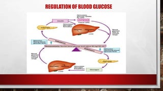 REGULATION OF BLOOD GLUCOSE
 