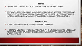 TESTIS
• THE MALE SEX ORGAN THAT ALSO SERVES AS AN ENDOCRINE GLAND.
• CONTAINS INTERSTITAL CELLS (OR LEYDIG’S CELLS) THAT SECRETE TESTOSTERONE
TO DEVELOP SECONDARY SEXUAL CHARACTERISTICS. [BOTH HYPOSECRETION AND
HYPERSECRETION AND WILL HAVE BROAD EFFECTS IN MALE REPRODUCTION].
PINEAL GLAND
• -- PINE CONE SHAPED LOCATED DEEP IN THE CEREBRUM.
• -- SECRETS MELATONIN TO REGULATE CIRCADIAN RHYTHMS WHICH ARE NECESSARY
TO KEEP TRACK OF DAY/NIGHT CYCLES, SLEEP/WAKE RHYTHM, MENSTRUAL AND
OVARIAN CYCLES.
 