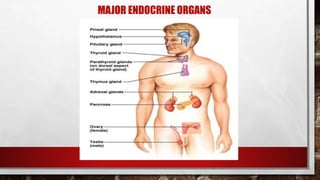 MAJOR ENDOCRINE ORGANS
 
