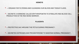 KIDNEYS
• -- ORGANS FOR FILTERING AND CLEANSING OUR BLOOD AND TISSUE FLUIDS.
• -- SECRETE A HORMONE CALLED ERYTHROPOIETIN TO STIMULATE RED BLOOD CELL
PRODUCTION IN THE RED BONE MARROW .
PLACENTA
• -- PROTECTIVE SAC AROUND THE FETUS DURING PREGNANCY .
• -- SECRETES ESTROGEN AND PROGESTERONE TO MAINTAIN NORMAL PREGNANCY .
 