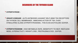 DISORDERS OF THE THYROID GLAND
• HYPERTHYROID :
• GRAVE’S DISEASE : AUTO ANTIBODIES (AGAINST SELF) BIND TSH RECEPTORS
ON THYROID CELL MEMBRANES , MIMICKING ACTION OF TSH, OVER
STIMULATING GLAND (HYPERTHYROIDISM) ; THIS IS AN EXOTHALMIC GOITER.
• HYPERTHYROIDISM : HIGH METABOLIC RATE, SENSITIVITY TO HEAT, RESTLESS
NESS, HYPERACTIVITY, WEIGHT LOSS , PROTRUDING EYES , GOITER.
 
