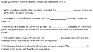 Guide Questions A. Fill in the blanks to make the statements correct.
1. Which gland controls the other glands in the body? The ______________ controls the output
of the other glands in the body.
2. Which gland is located below the voice box? The ______________ is located below the
voice box.
3. Which gland is located on the thyroid glands? The ______________ is located on the thyroid
glands and produces parathormone that increases blood calcium levels and normalizes bone
growth.
4. Which gland produces parathormone? The ______________ produces parathormone that
increases blood calcium levels and normalizes bone growth.
5. Which organ is involved when the blood sugar becomes unstable? The ______________ is
involved when blood sugar level becomes unstable.
 