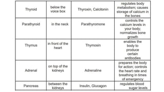 The Endocrine System.pptx GFTFTFYFUYUYYUY