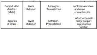 The Endocrine System.pptx GFTFTFYFUYUYYUY