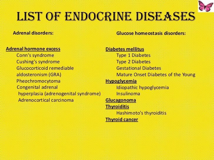 the-endocrine-system