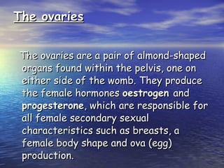 The ovaries The ovaries are a pair of almond-shaped organs found within the pelvis, one on either side of the womb. They produce the female hormones  oestrogen  and  progesterone , which are responsible for all female secondary sexual characteristics such as breasts, a female body shape and ova (egg) production. 