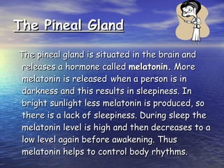 The Pineal Gland The pineal gland is situated in the brain and releases a hormone called  melatonin.  More melatonin is released   when a person is in darkness and this results in sleepiness. In bright sunlight less melatonin is produced, so there is a lack of sleepiness. During sleep the melatonin level is high and then decreases to a low level again before awakening. Thus melatonin helps to control body rhythms. 