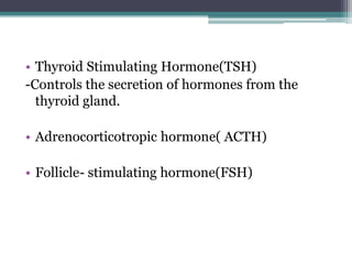 • Thyroid Stimulating Hormone(TSH)
-Controls the secretion of hormones from the
thyroid gland.
• Adrenocorticotropic hormone( ACTH)
• Follicle- stimulating hormone(FSH)

 
