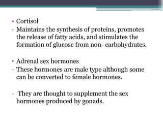 • Cortisol
- Maintains the synthesis of proteins, promotes
the release of fatty acids, and stimulates the
formation of glucose from non- carbohydrates.
• Adrenal sex hormones
- These hormones are male type although some
can be converted to female hormones.
- They are thought to supplement the sex
hormones produced by gonads.

 