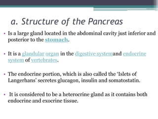 a. Structure of the Pancreas
• Is a large gland located in the abdominal cavity just inferior and
posterior to the stomach.
• It is a glandular organ in the digestive systemand endocrine
system of vertebrates.
• The endocrine portion, which is also called the ‘Islets of
Langerhans’ secretes glucagon, insulin and somatostatin.

• It is considered to be a heterocrine gland as it contains both
endocrine and exocrine tissue.

 