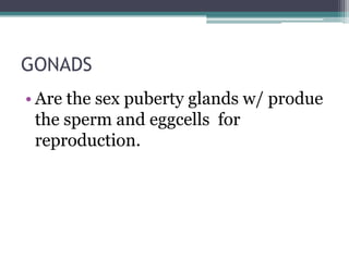 GONADS
• Are the sex puberty glands w/ produe
the sperm and eggcells for
reproduction.

 