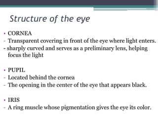 Structure of the eye
• CORNEA
- Transparent covering in front of the eye where light enters.
- sharply curved and serves as a preliminary lens, helping
focus the light

• PUPIL
- Located behind the cornea
- The opening in the center of the eye that appears black.
• IRIS
- A ring muscle whose pigmentation gives the eye its color.

 