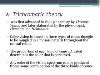 a. Trichromatic theory
• was first advanced in the 19th century by Thomas
Young and later elaborated by the physiologist,
Herman von Helmholtz.
• Color vision is based on three types of cones thought
to be mingled in a mosaic pattern throughout the
central retina.
• The proportion of each kind of cone activated
determines the color that is percieved.
• Any color of the visible spectrum can be produced
frome some combination of the three kinds of cones.

 