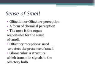 Sense of Smell
• Olfaction or Olfactory perception
• A form of chemical perception
• The nose is the organ
responsible for the sense
of smell.
• Olfactory receptions: used
to detect the presence of smell.
• Glomerulus: a structure
which transmits signals to the
olfactory bulb.

 