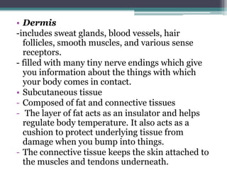• Dermis
-includes sweat glands, blood vessels, hair
follicles, smooth muscles, and various sense
receptors.
- filled with many tiny nerve endings which give
you information about the things with which
your body comes in contact.
• Subcutaneous tissue
- Composed of fat and connective tissues
- The layer of fat acts as an insulator and helps
regulate body temperature. It also acts as a
cushion to protect underlying tissue from
damage when you bump into things.
- The connective tissue keeps the skin attached to
the muscles and tendons underneath.

 