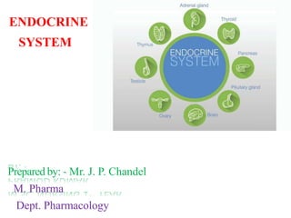 Prepared by: - Mr. J. P. Chandel
M. Pharma
Dept. Pharmacology
ENDOCRINE
SYSTEM
 