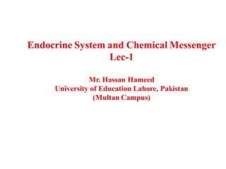 Endocrine System and Chemical Messenger
Lec-1
Mr. Hassan Hameed
University of Education Lahore, Pakistan
(Multan Campus)
 