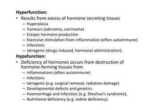 The Endocrine System pathology and anatomy | PDF