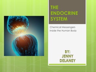 THE
ENDOCRINE
SYSTEM
Chemical Messengers
Inside the Human Body
 