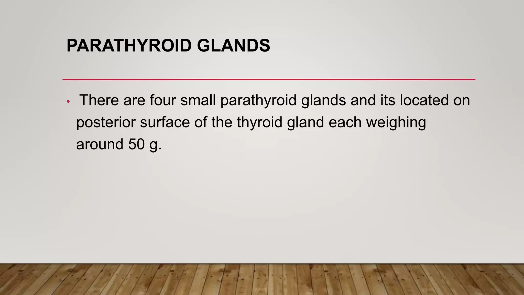 PARATHYROID GLANDS
• There are four small parathyroid glands and its located on
posterior surface of the thyroid gland each weighing
around 50 g.
 