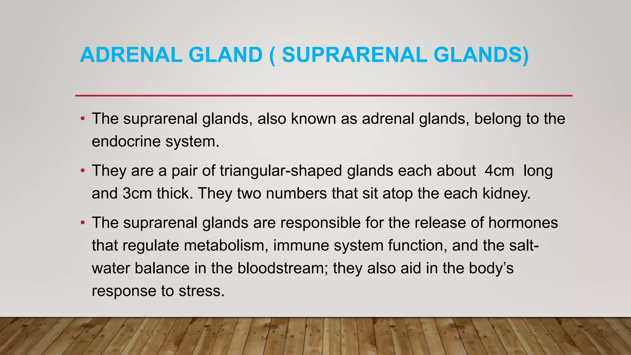 ADRENAL GLAND ( SUPRARENAL GLANDS)
• The suprarenal glands, also known as adrenal glands, belong to the
endocrine system.
• They are a pair of triangular-shaped glands each about 4cm long
and 3cm thick. They two numbers that sit atop the each kidney.
• The suprarenal glands are responsible for the release of hormones
that regulate metabolism, immune system function, and the salt-
water balance in the bloodstream; they also aid in the body’s
response to stress.
 