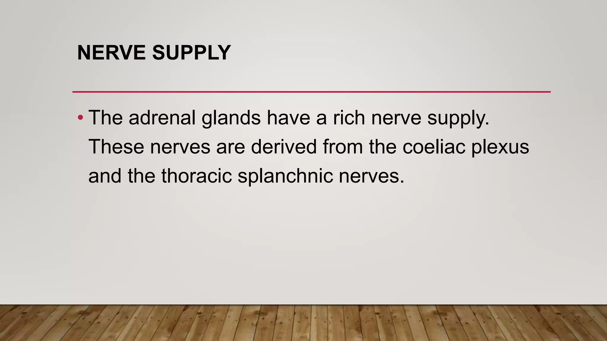 NERVE SUPPLY
• The adrenal glands have a rich nerve supply.
These nerves are derived from the coeliac plexus
and the thoracic splanchnic nerves.
 